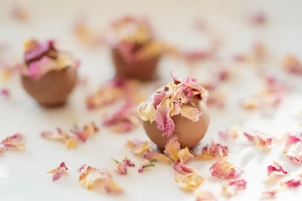 Paradise Win Casino Android/iOS App